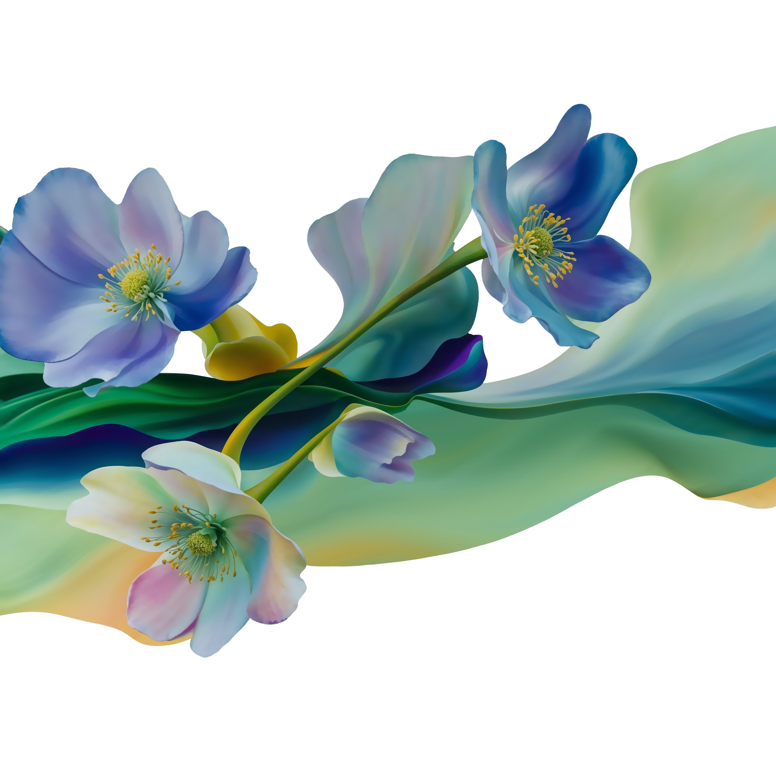 Keto Software brand identity